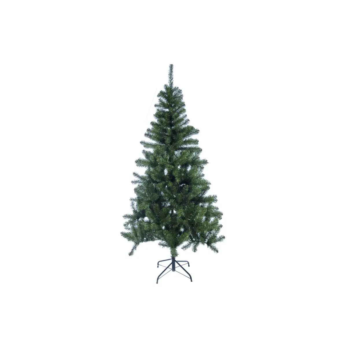 Colorado Xmas Tree