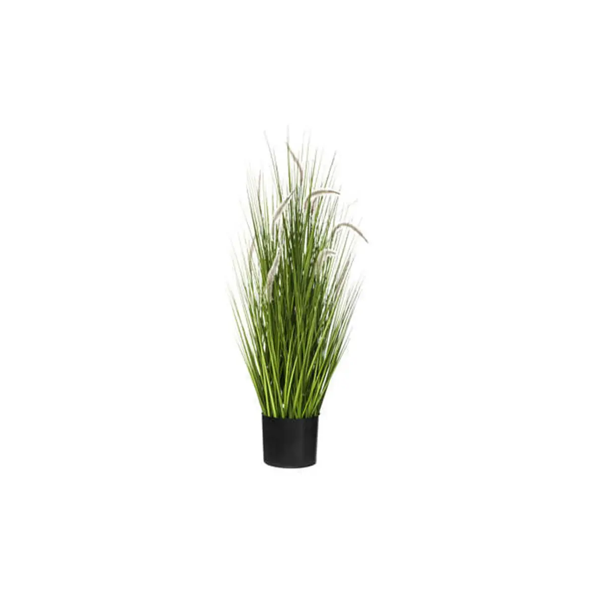 Atmosphera Grass Bunch