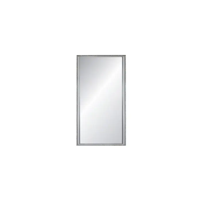 Promoto Mirror