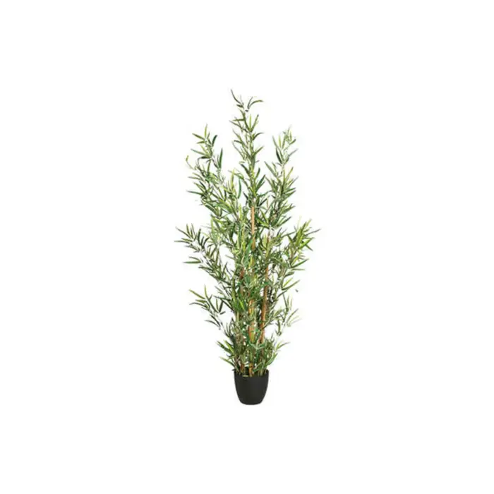 Bamboo With Pot H120