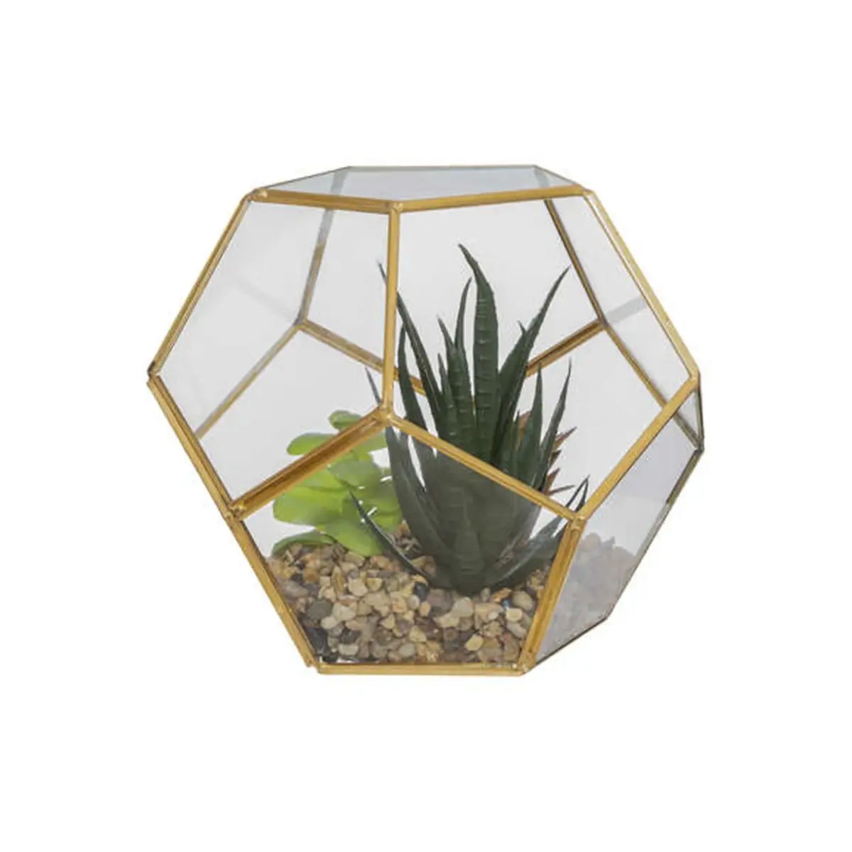 Terrarium D17