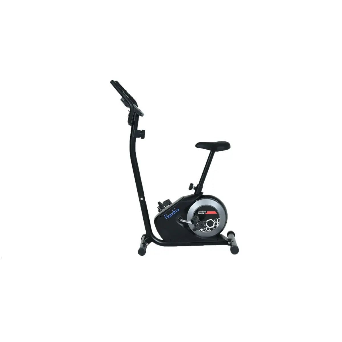 FLANDRIA Exercise Bike