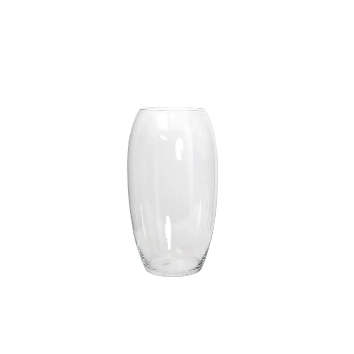 Vince Vase Transparent