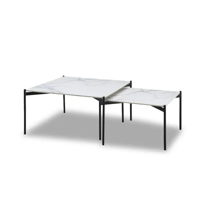 MARLOO Coffee Table 2pcs