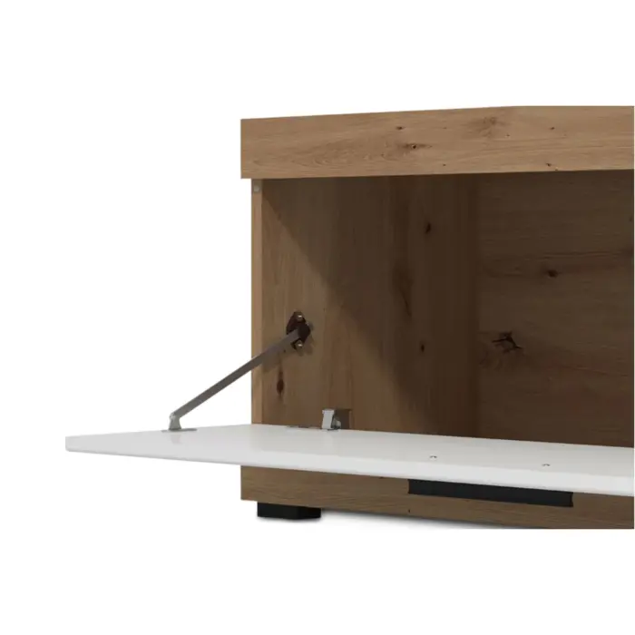 REMO TV Unit