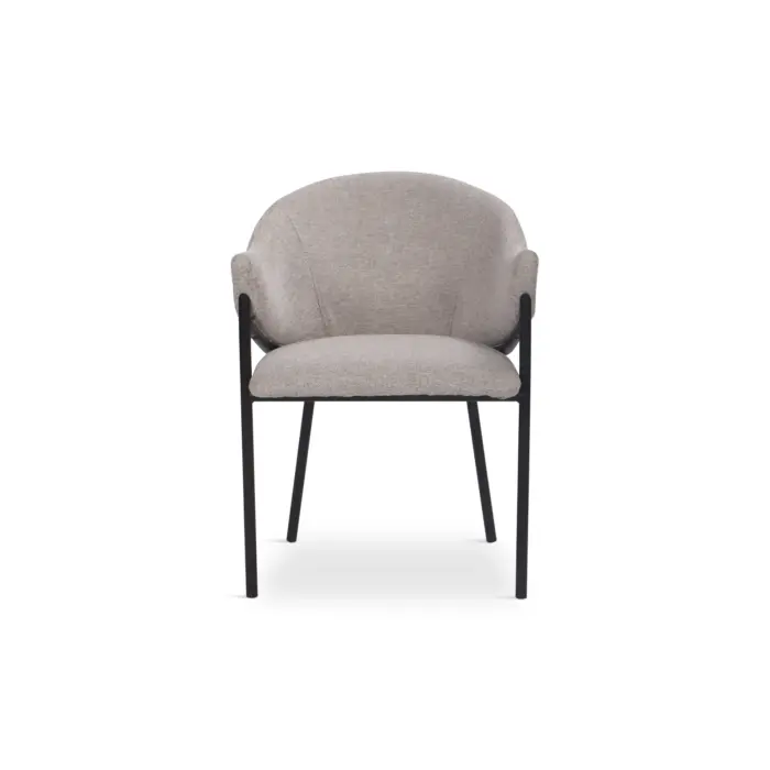 DELIZY Dining Chair