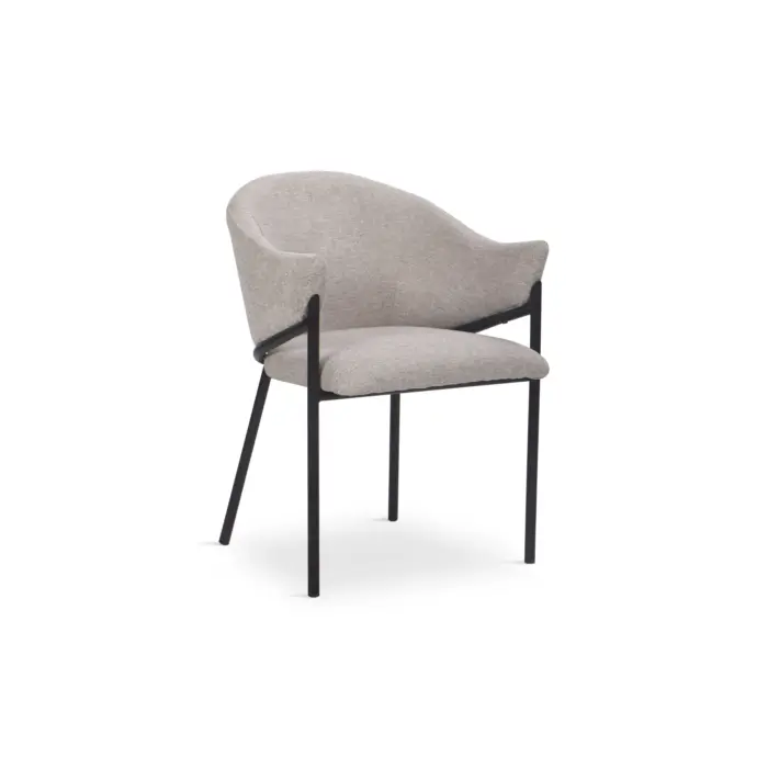 DELIZY Dining Chair