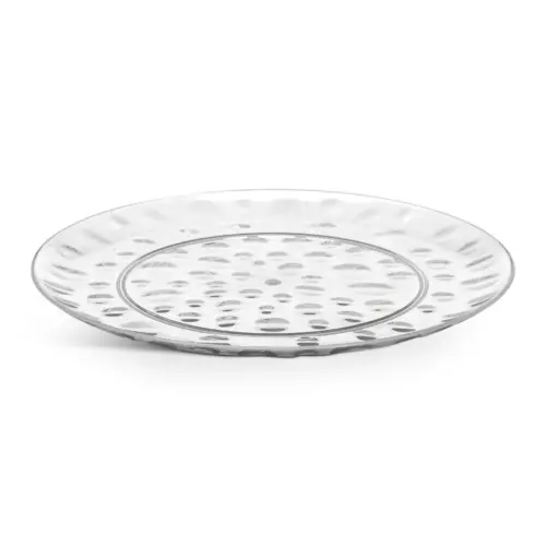 Plastic Dinner Plate
