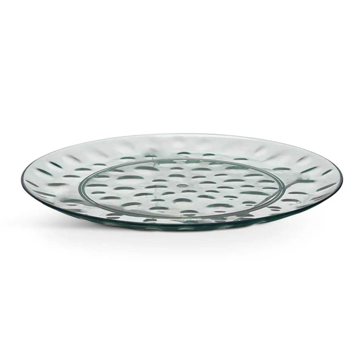 Plastic Dinner Plate