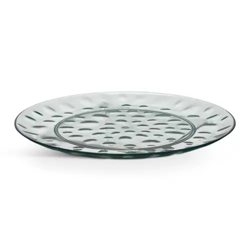 Plastic Dinner Plate