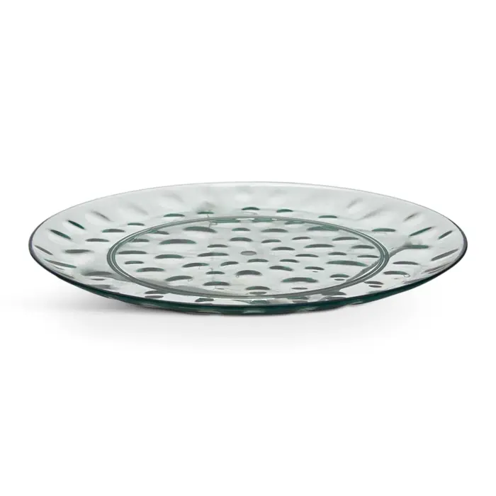 Plastic Dinner Plate