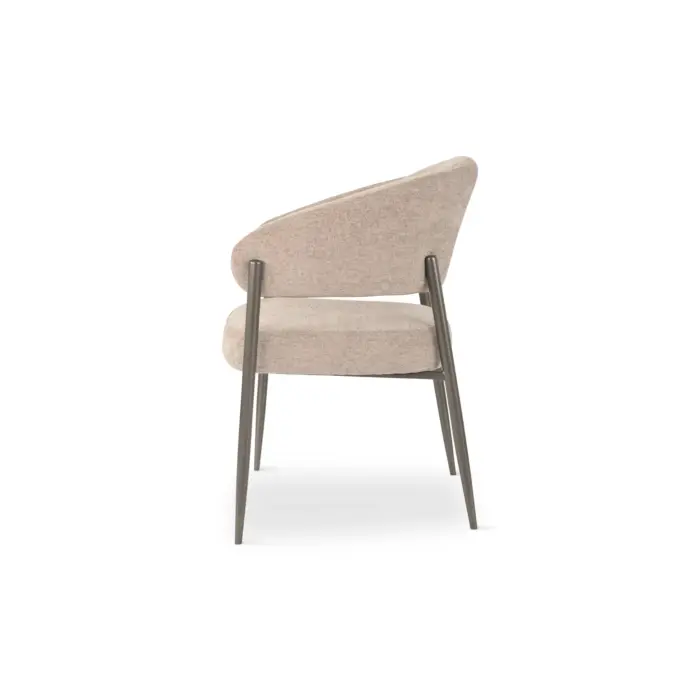 DX-2569-RAVEN304 STAWA Dining Chair