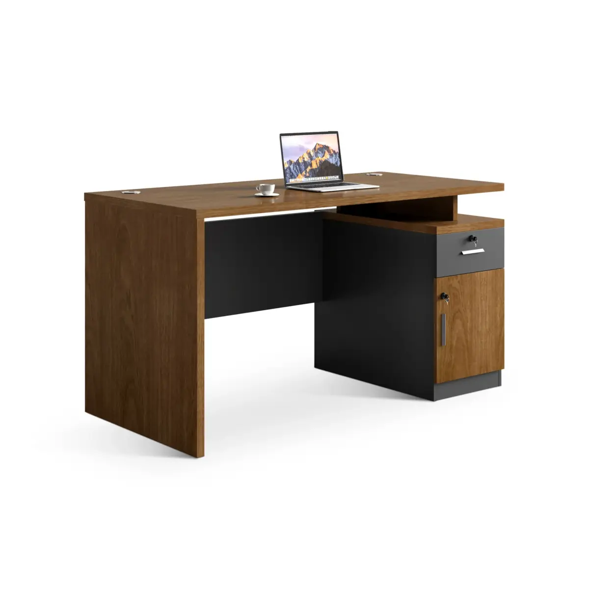 CHEMOSTRY Office Desk
