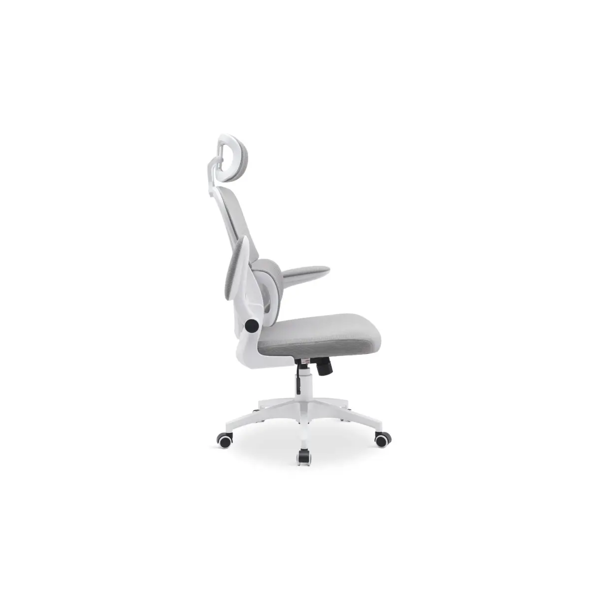 Novelti Office Chair