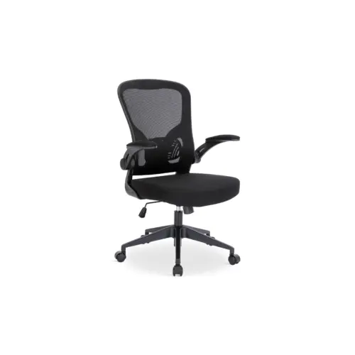READIN Office Chair