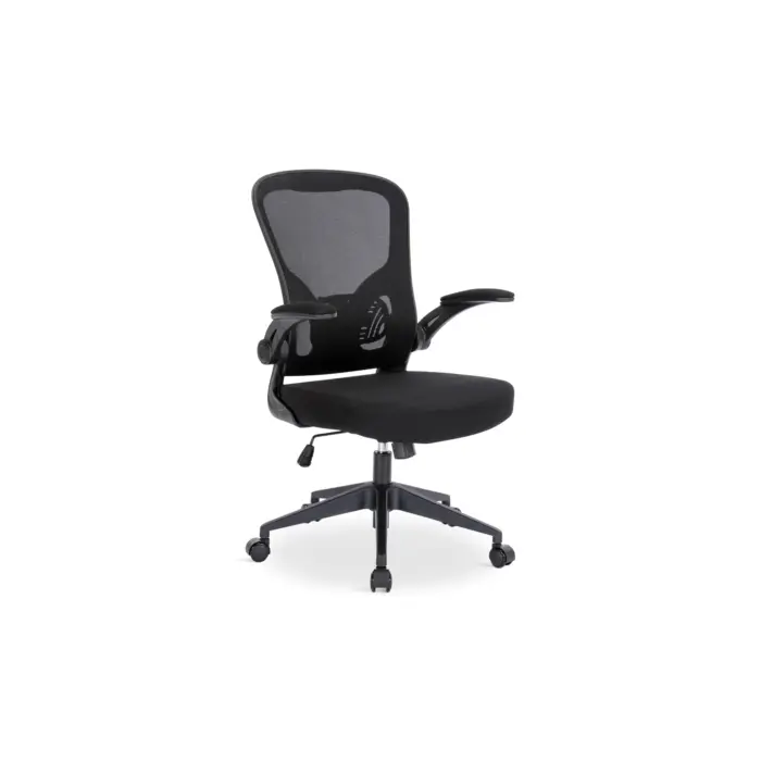 READIN Office Chair