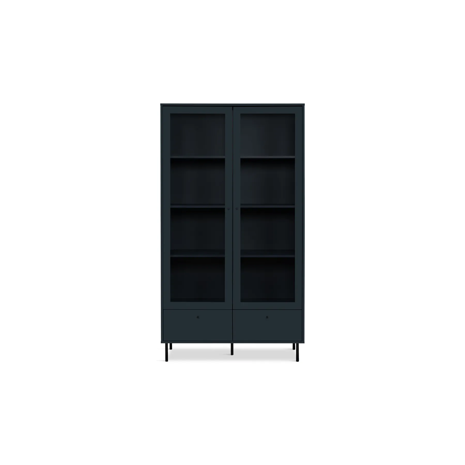 Four Day CARACAS Bookcase