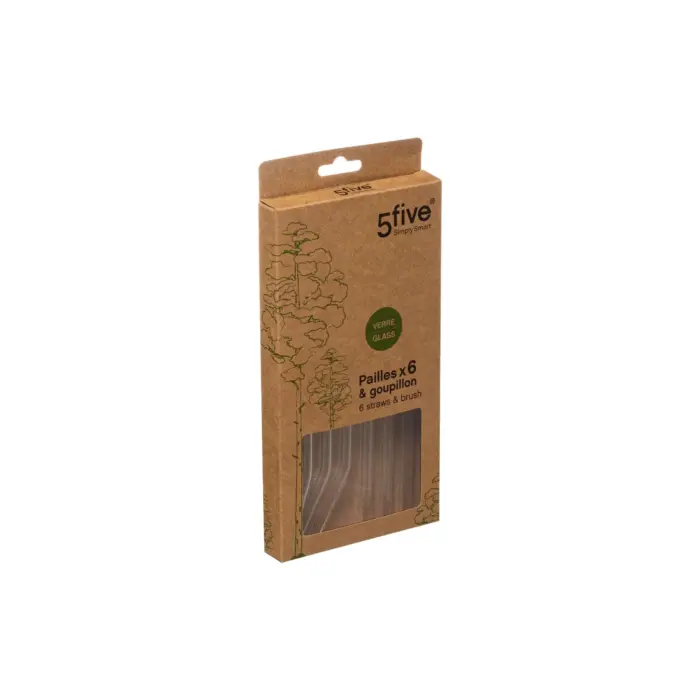 Glass Straws X6