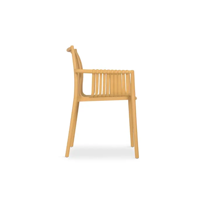 BARKO Plastic Chair