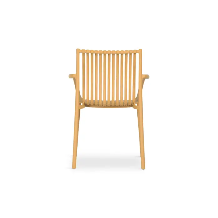 BARKO Plastic Chair