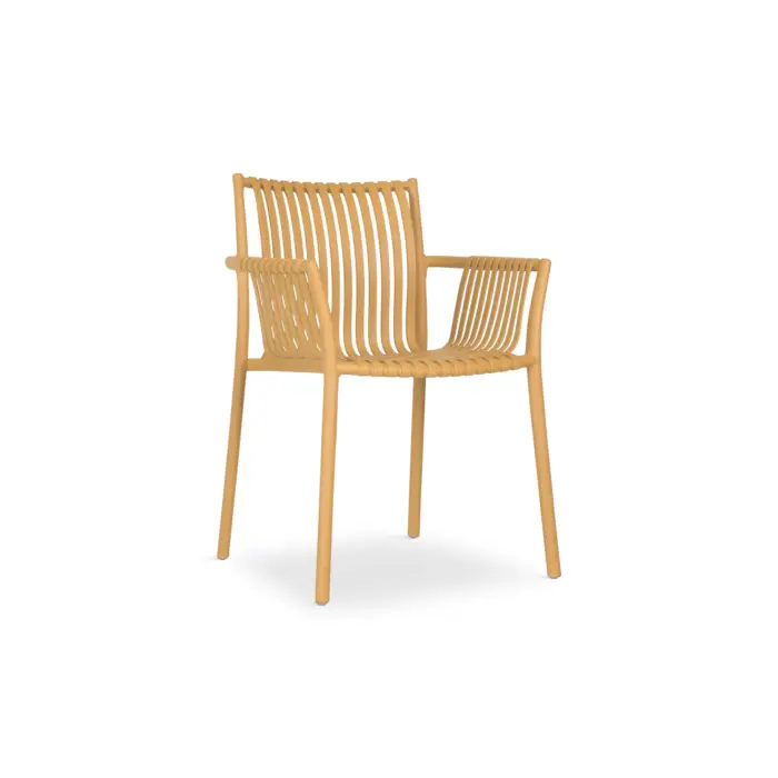 BARKO Plastic Chair