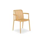 SAMONA Plastic Chair