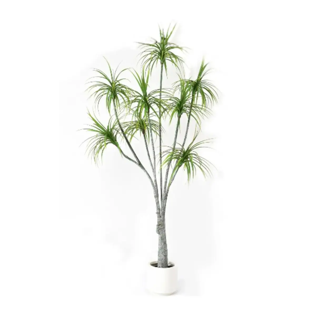 Hemlock Tree Green