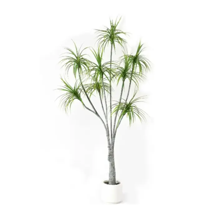 Hemlock Tree Green