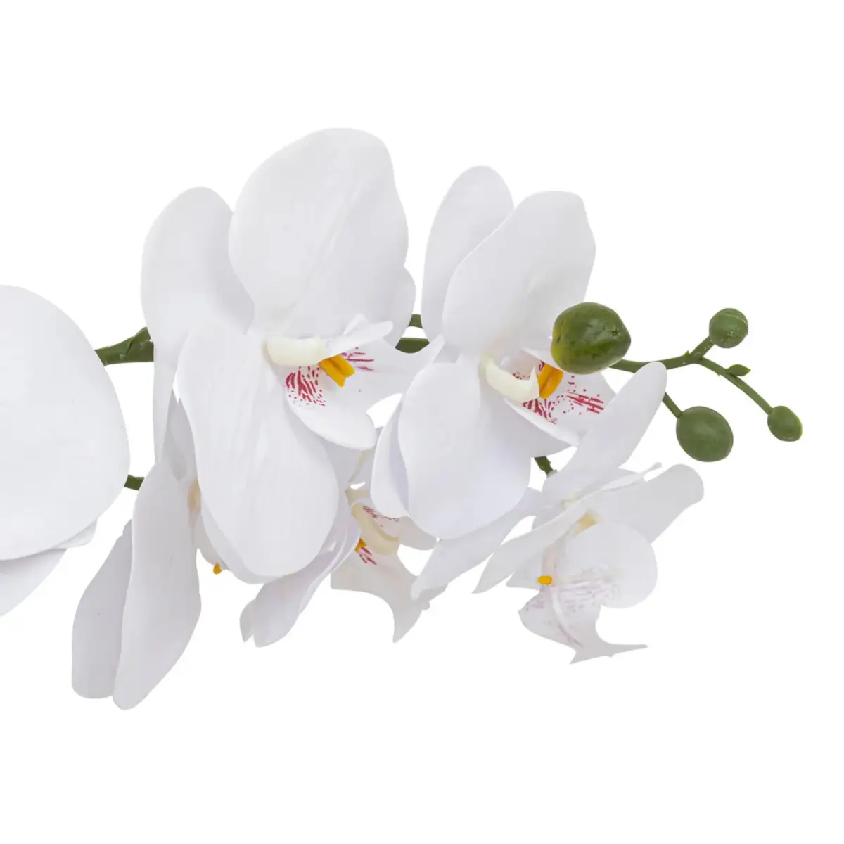 Orchid Pot CLERA H5