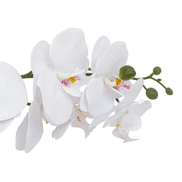 Orchid Pot CLERA H5
