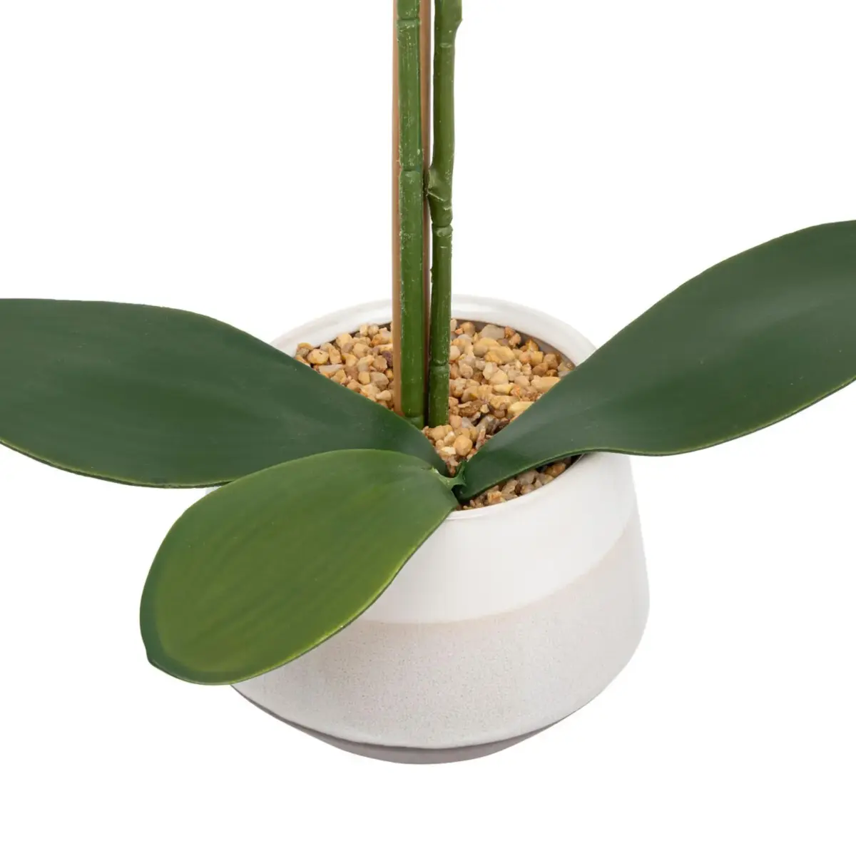 Orchid Pot CLERA H5