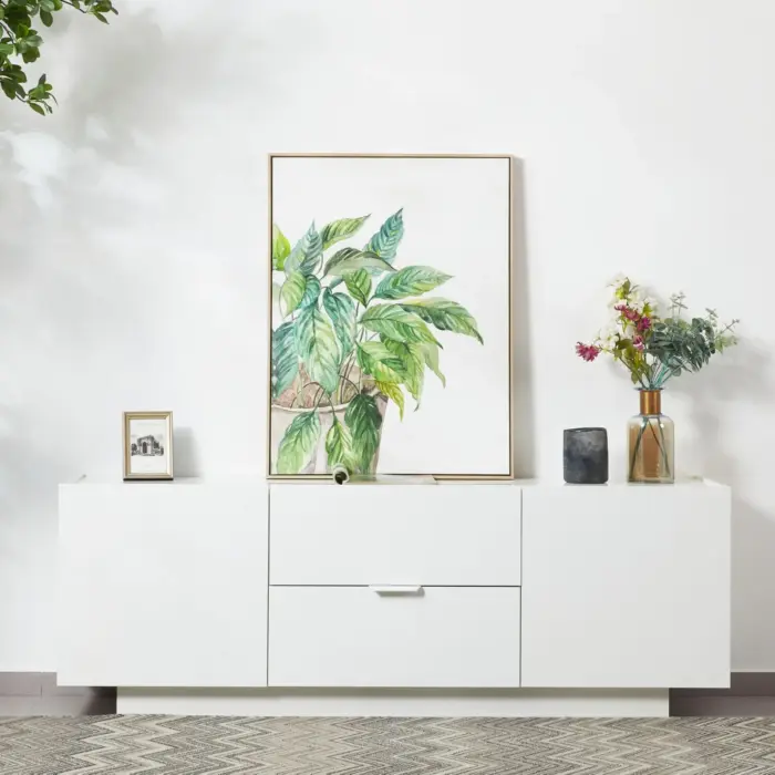 SCREENA TV Unit