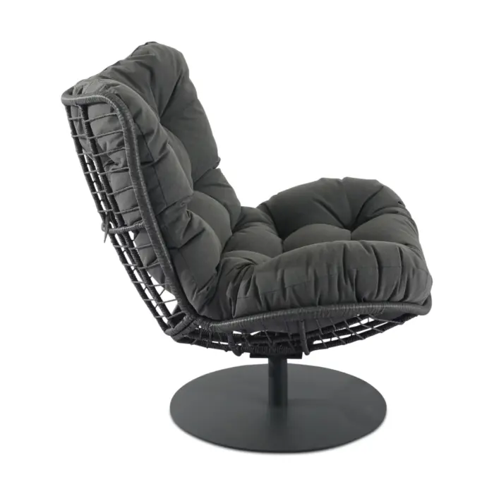 Dizzin Swivel Chair