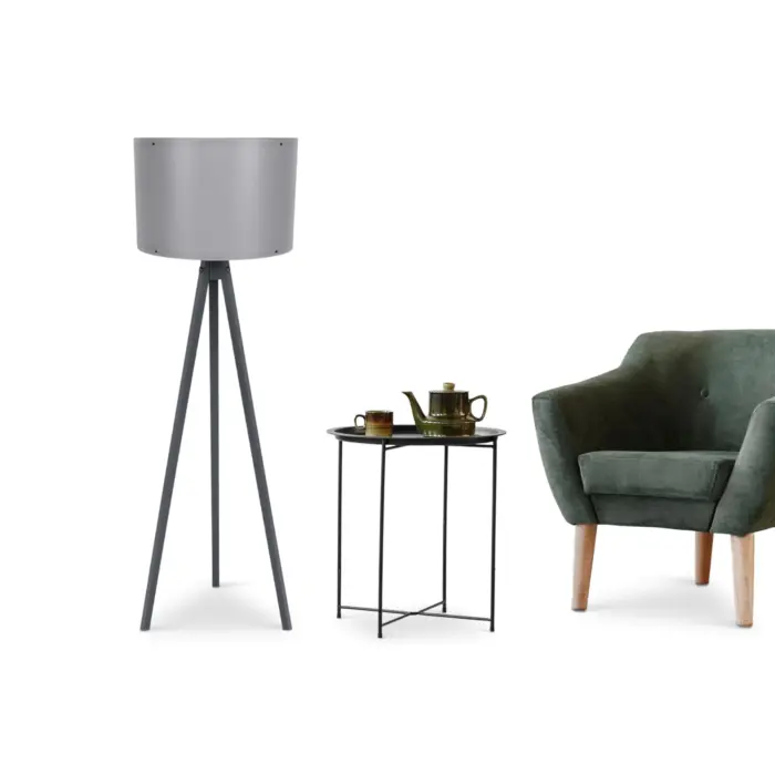 CAGNEY Floor Lamp