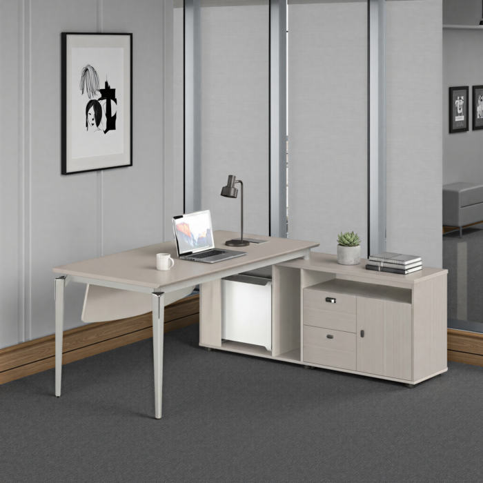LABONI Office Desk