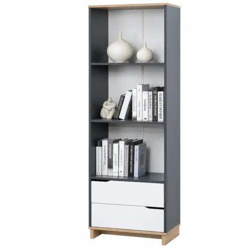 LIBRY Bookcase
