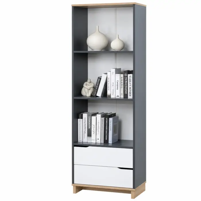 LIBRY Bookcase