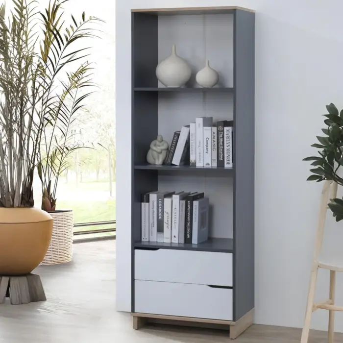 LIBRY Bookcase