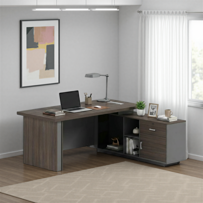 SOCRATES Office Desk