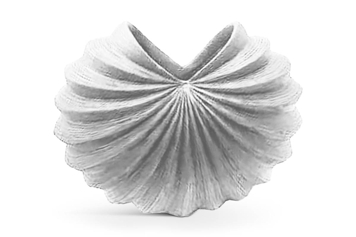 Gallina Blanc Vase