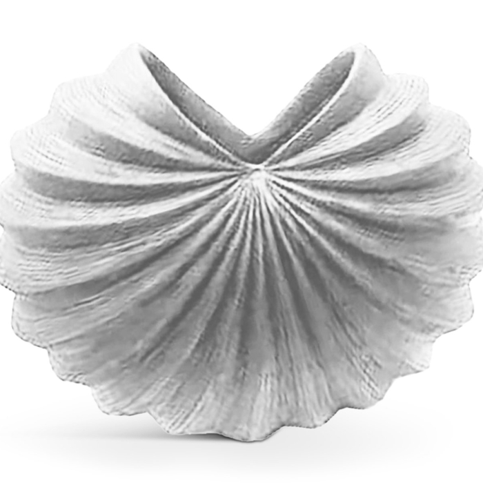 Gallina Blanc Vase