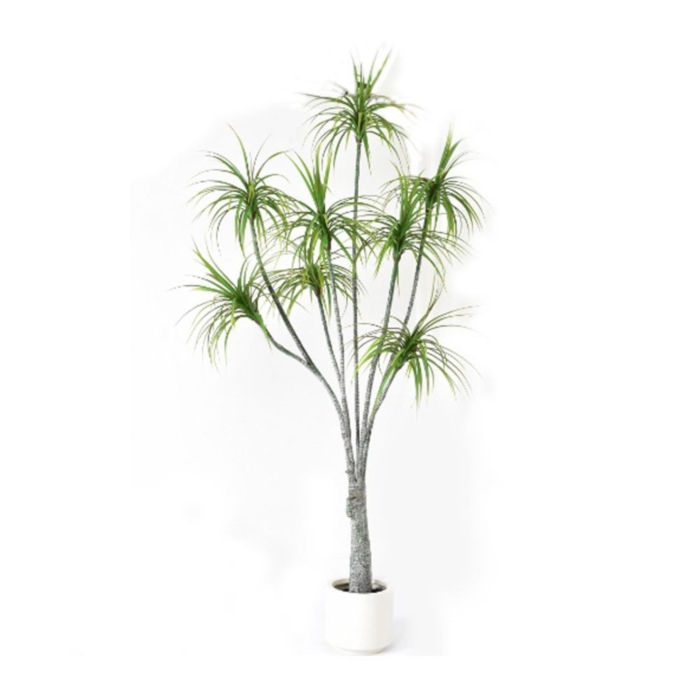 Hemlock Tree Green