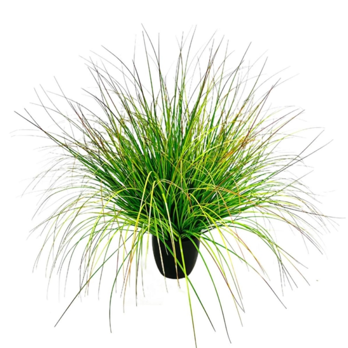 Bent Grass 90 PVC Green