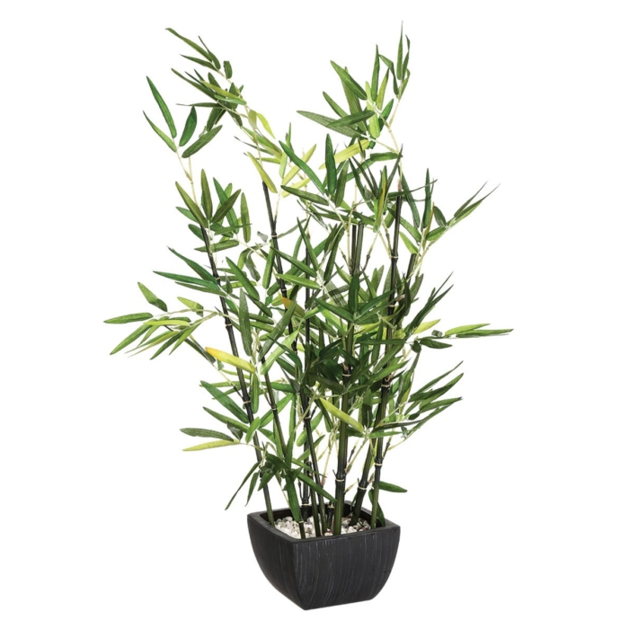 Bamboo With Pot H70