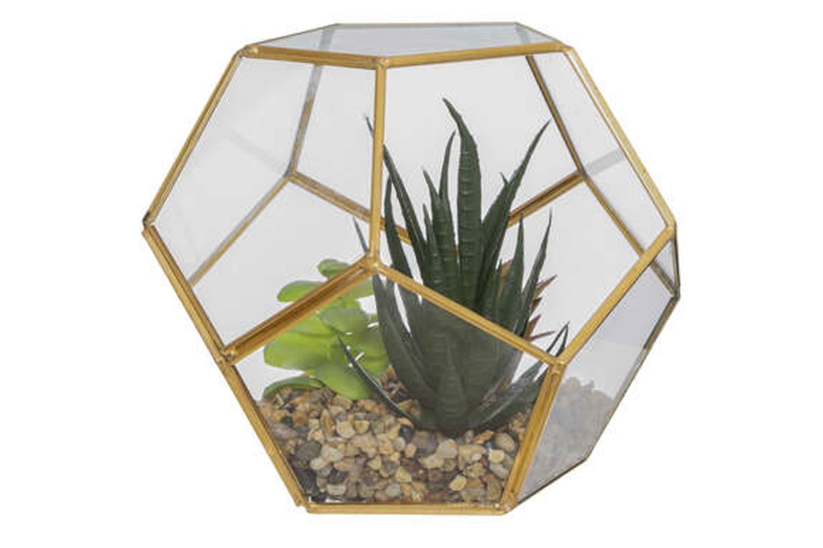 Terrarium D17