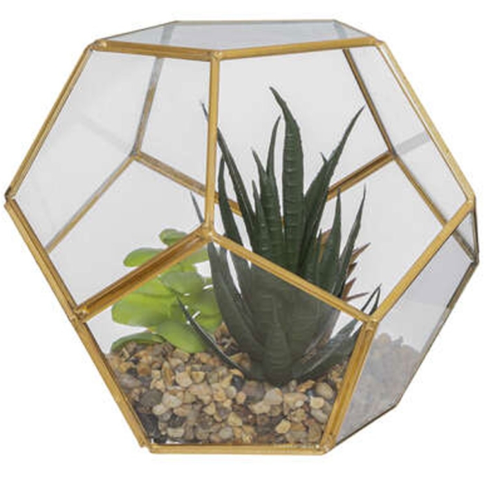 Terrarium D17