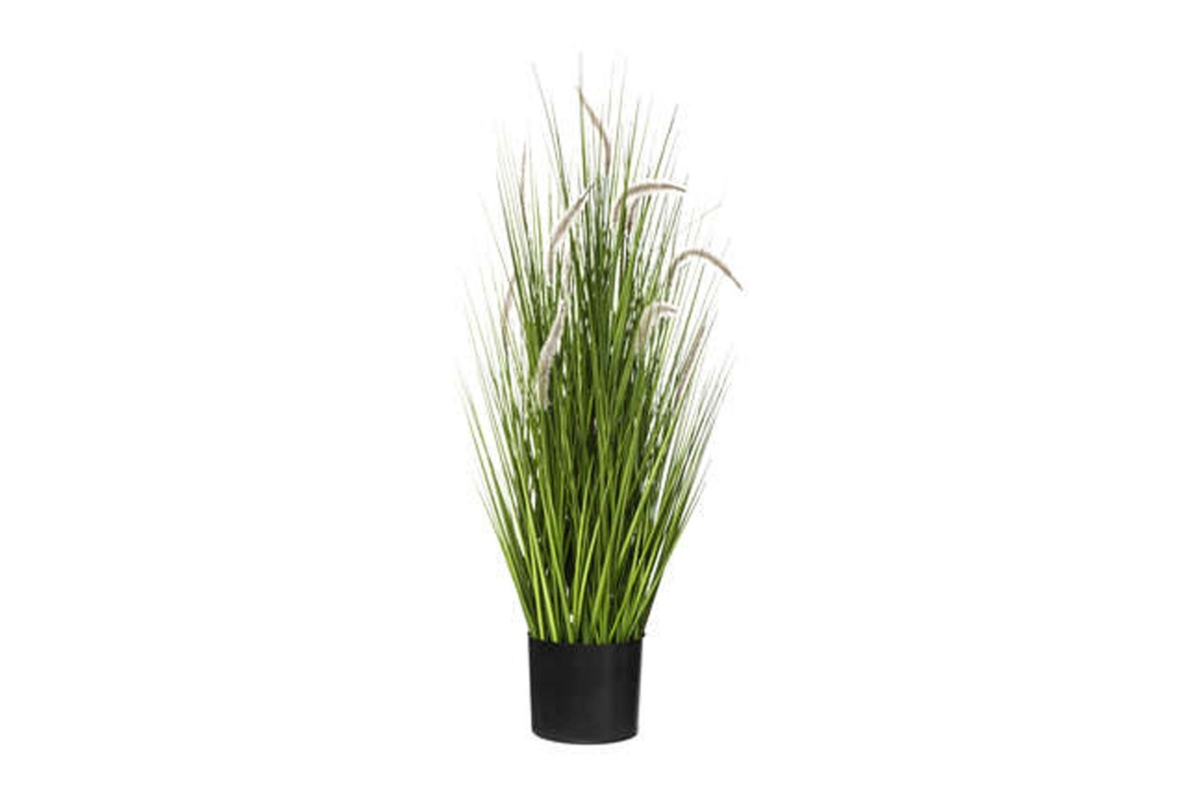Atmosphera Grass Bunch