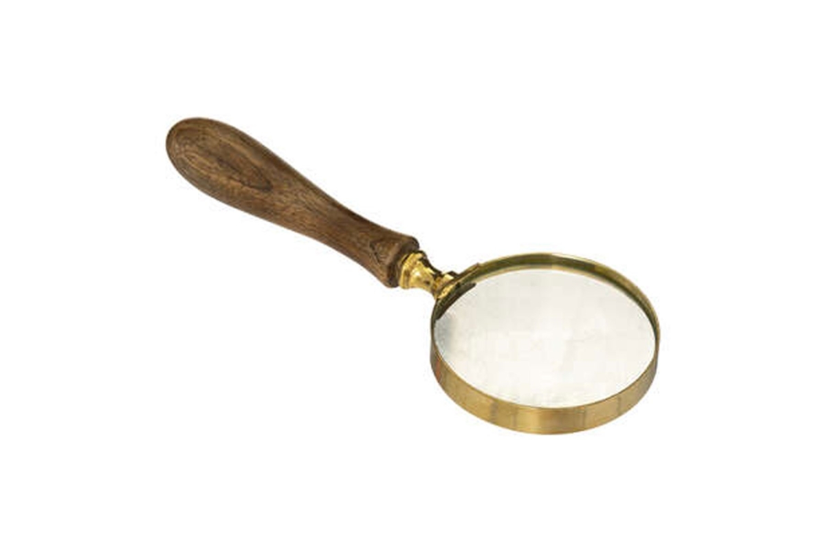 Mango Magnifier