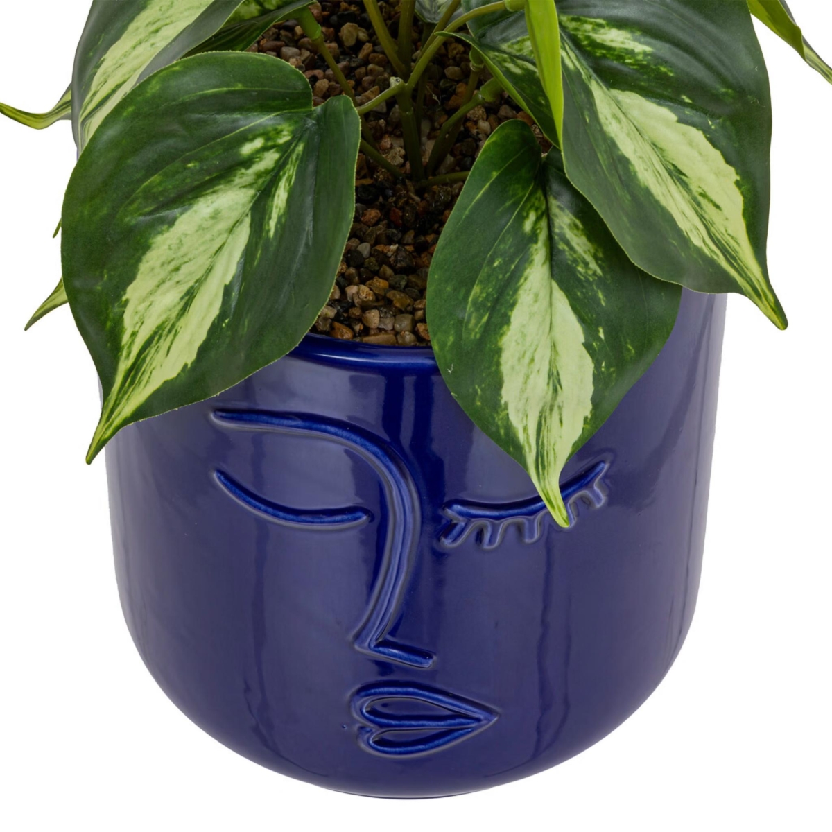 Plant Face Pot