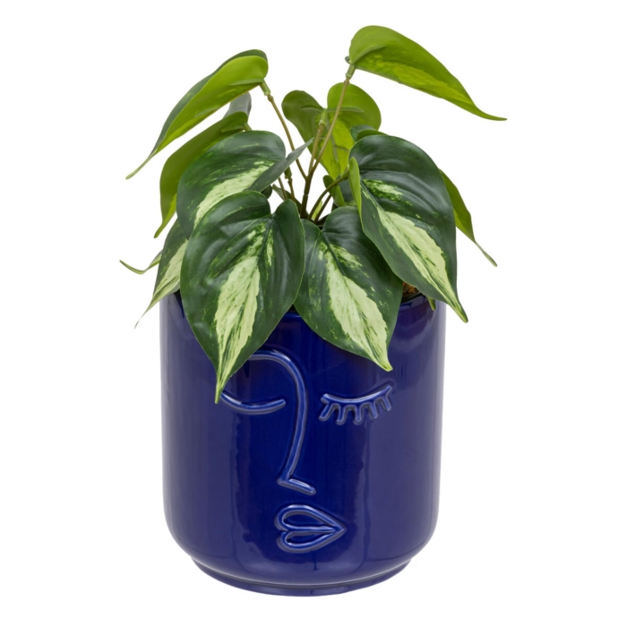 Plant Face Pot